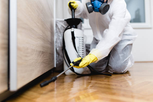 Best Pest Control Near Me  in Des Allemands, LA