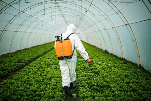 Best Pest Control Near Me in Des Allemands, LA