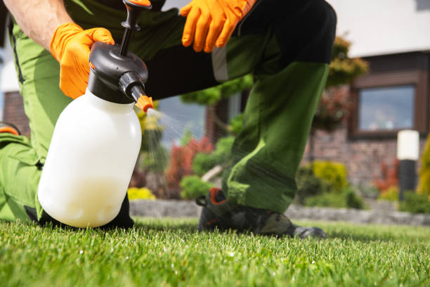 Best Commercial Pest Control Services  in Des Allemands, LA
