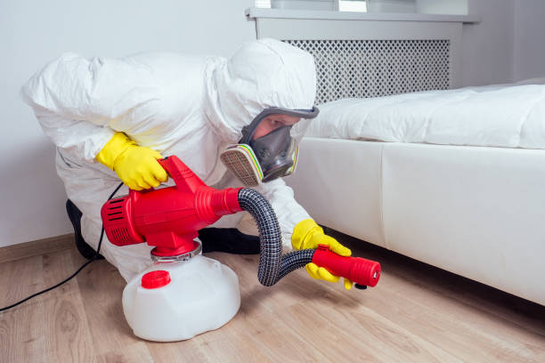 Best Pest Removal Services  in Des Allemands, LA