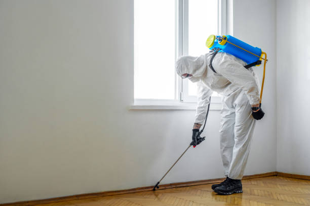 Pest Prevention Services in Des Allemands, LA